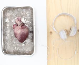 Listening to your heart by Material Futures graduate Lesley-Ann Daly
