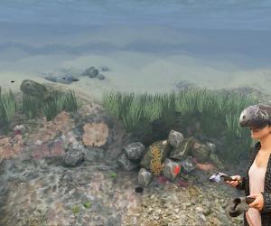 Ocean VR