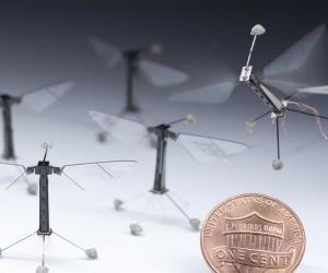 RoboBee