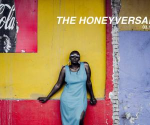 Kgomotso Neto Tleane and Rendani Nemakhavhani - The Honeyversary