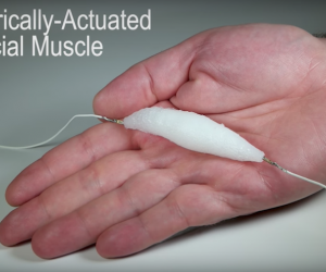 The electrically-actuated artificial muscle created by students from the University of Columbia in New York City