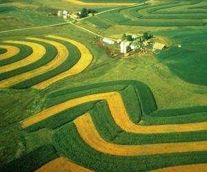 Aerial view of contour strip farming. | Picture by Wisconsin Department of Natural Resources