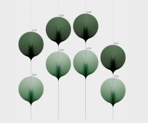 Shapes of Inequalities by Federica Fragapane