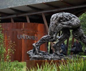 Dylan Lewis sculpture at Kirstenbosch. 
