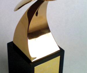 Gold Loerie for Design Indaba