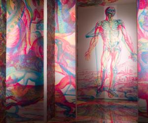 RGB Wallpaper. Photo: Luca Volpe. 