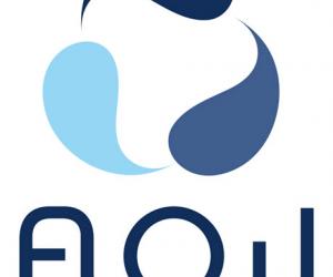 Flow logo. 