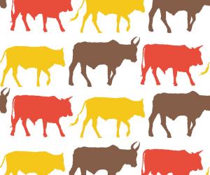 Transkei Cows - textile design. 