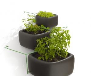 Haldane Martin: Wallflower vertical garden system