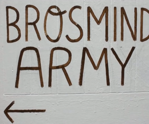 Little Scraps of Paper: Brosmind