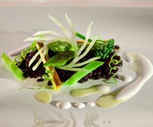 Plated dish by Brazilian chef Alex Atala. 