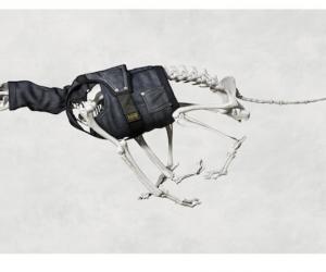 Content is king but no one explains why quite like Shubhankar Ray, who re-engineered the brands of Camper, Levis and G-Star