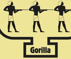 Gorilla