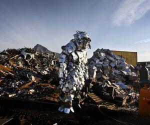 Cape Mongo (Metal). Image: Anton Scholtz