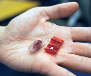 “It’s really exciting to see our small origami robots doing something with potential important applications to healthcare,” Daniela Rus says. Pictured, an example of a capsule and the unfolded origami device. Image Credits: Melanie Gonick/MIT 