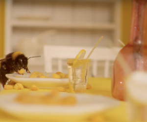 Quirky Beedapast Hotel houses travelling bees 