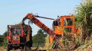 Fibre waste from sugarcane can be used as a biofuel
