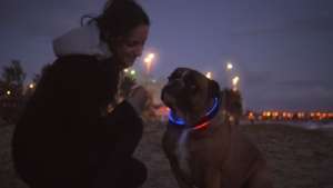 The LED lighting ensures pet safety.