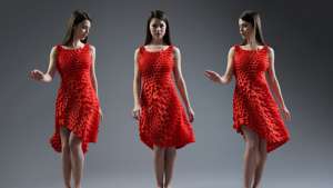 The Kinematics Petal Dress