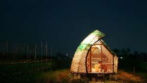 Bottle Seeding House