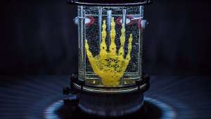 Artist Amy Karle’s Regenerative Reliquary is an open-source biotech project showcasing a human hand grown out of stem cells