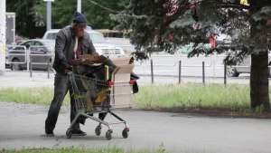 Shopping cart stock image