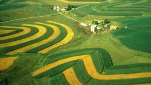 Aerial view of contour strip farming. | Picture by Wisconsin Department of Natural Resources
