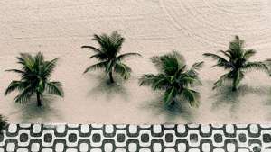 Copacabana beach front. Photo: Via zupi. 