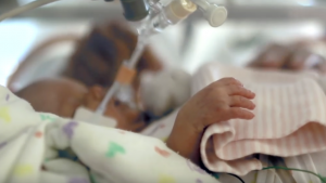 The artificial placenta could help severely premature babies