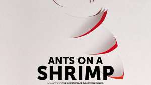 Ants on a Shrimp