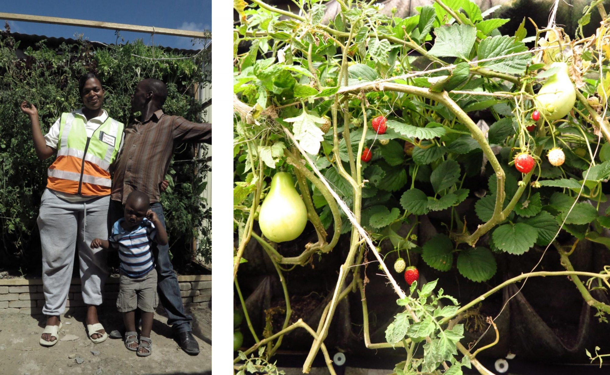The Green Shack at Design Indaba 2013 Design Indaba
