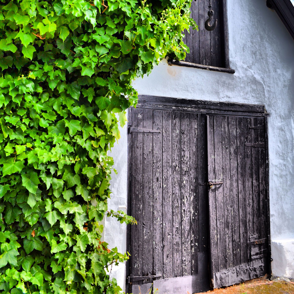 Doors of Cape Town Design Indaba