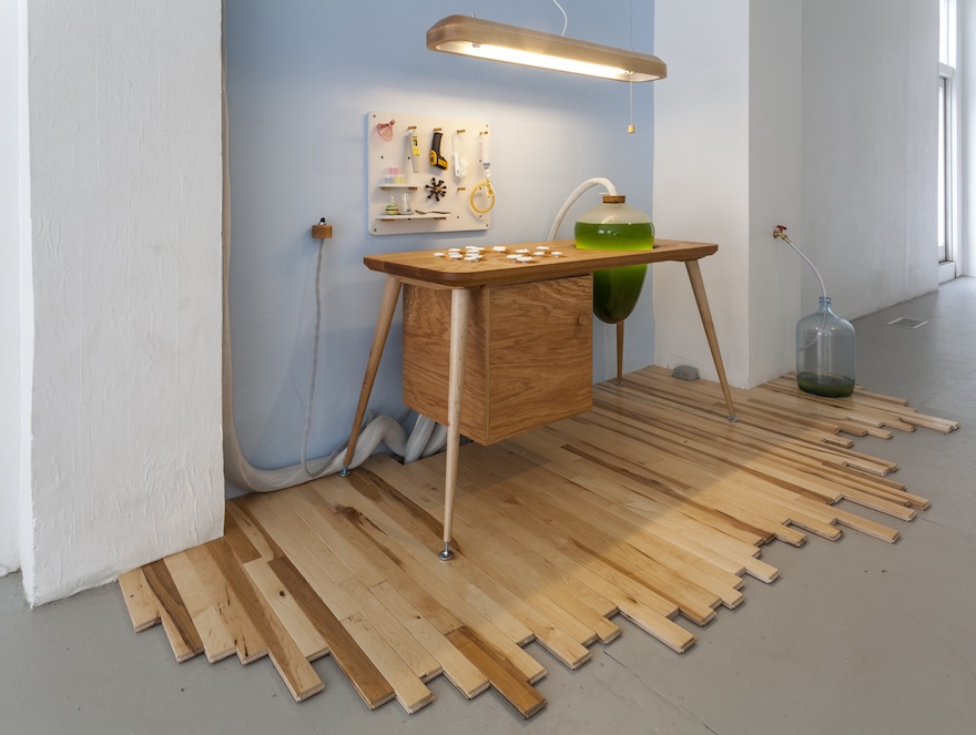The future of microorganisms in the built environment | Design Indaba