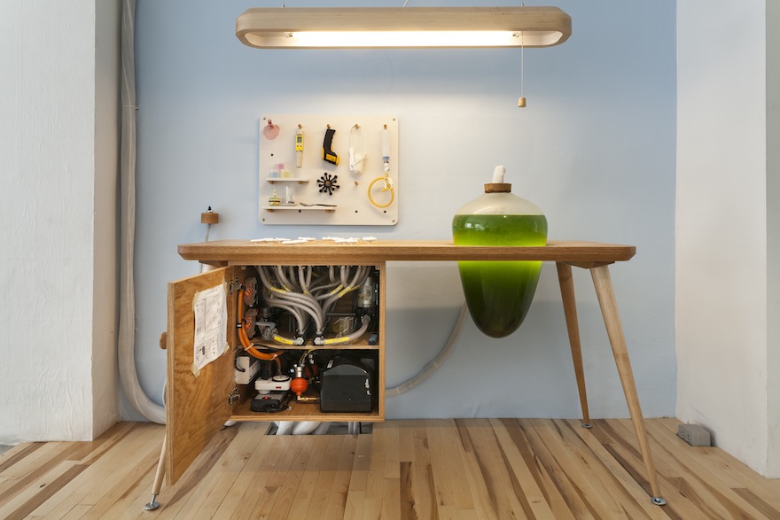 The future of microorganisms in the built environment | Design Indaba