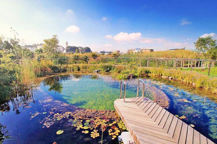 Cape Town’s Hotel Verde wins double platinum with innovative green