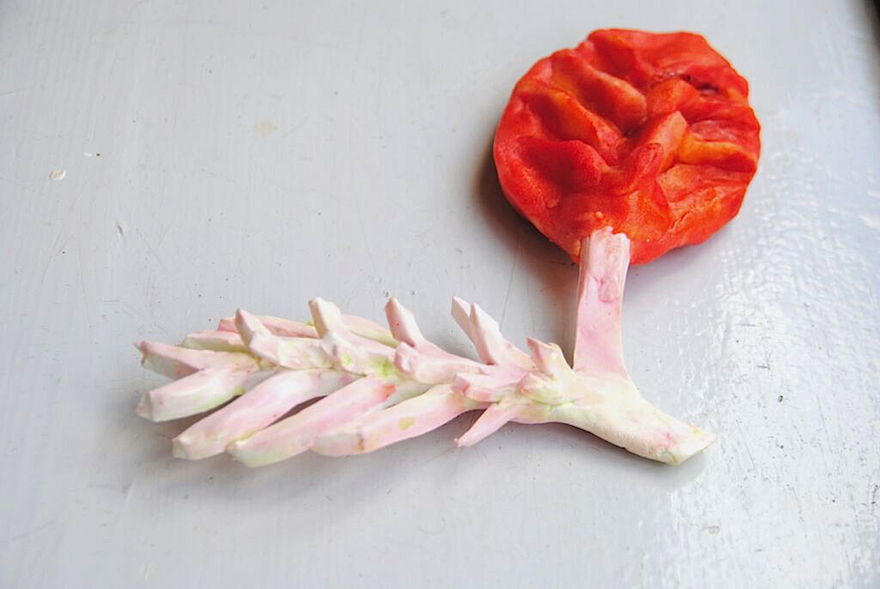 Marije Vogelzang imagines meat growing on plants for her food design project Design Indaba