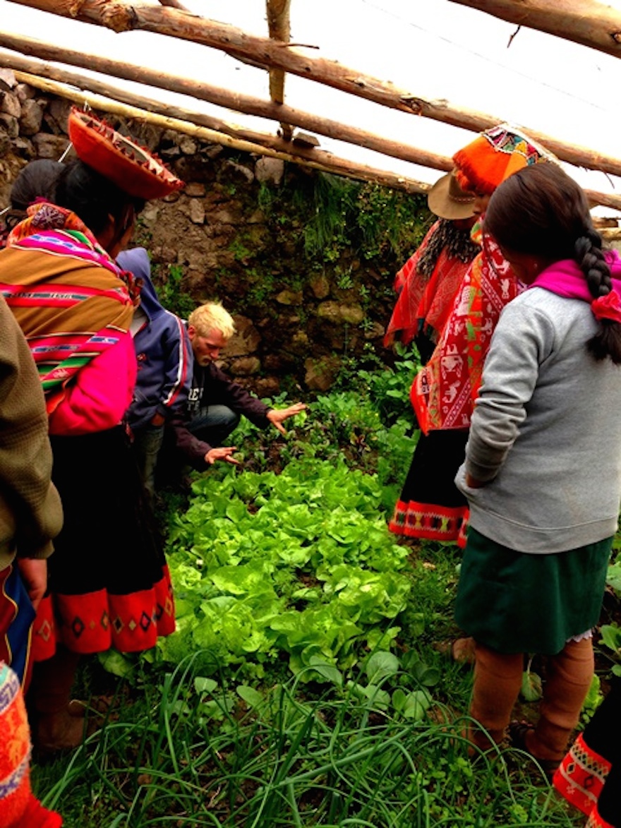 Nonprofit’s greenhouses help Andean communities combat malnutrition