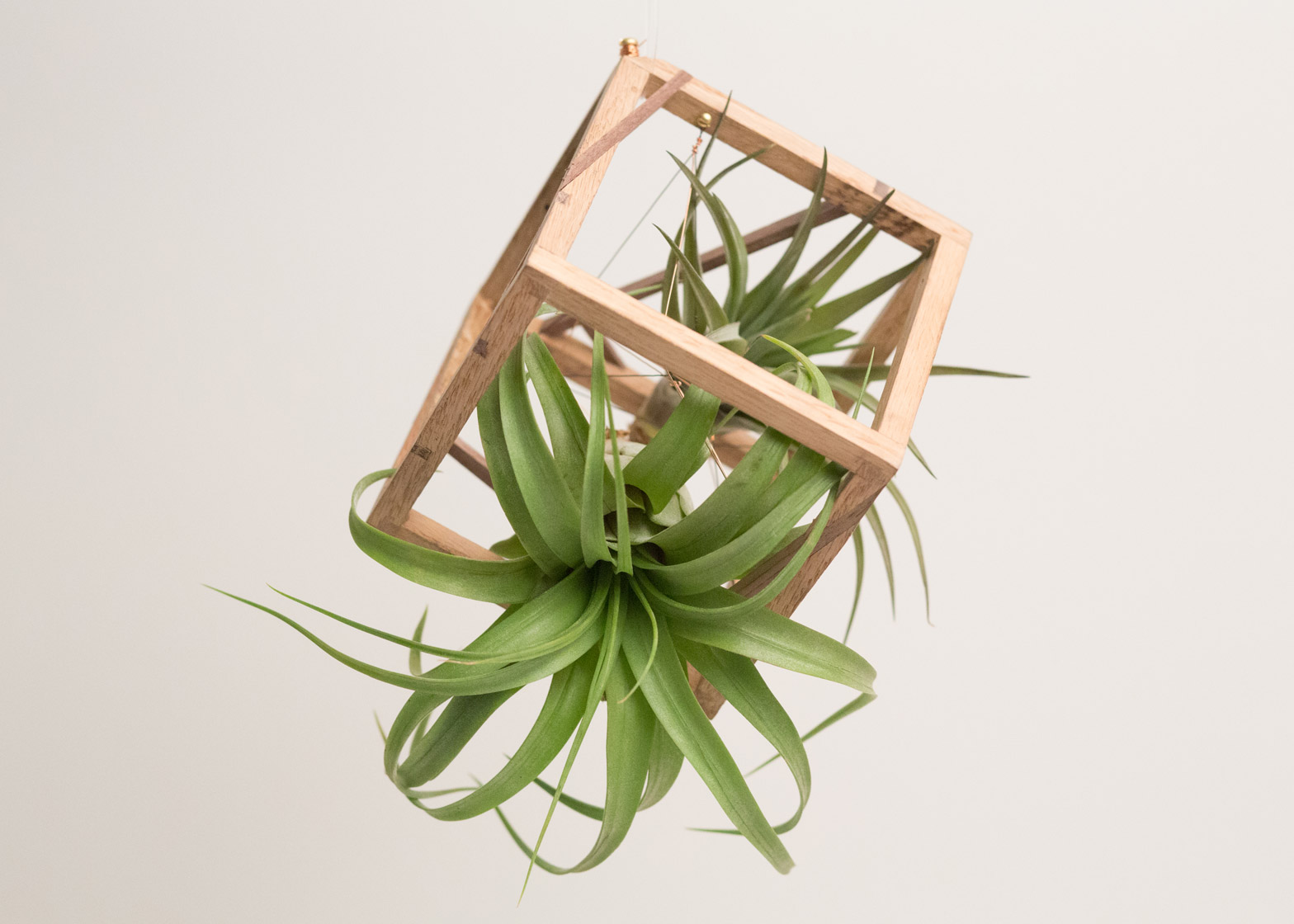 Christmas ornaments get redesigned to raise funds for Detroit museum