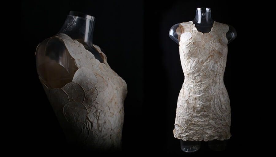 A 100 per cent biodegradable fungi dress | Design Indaba