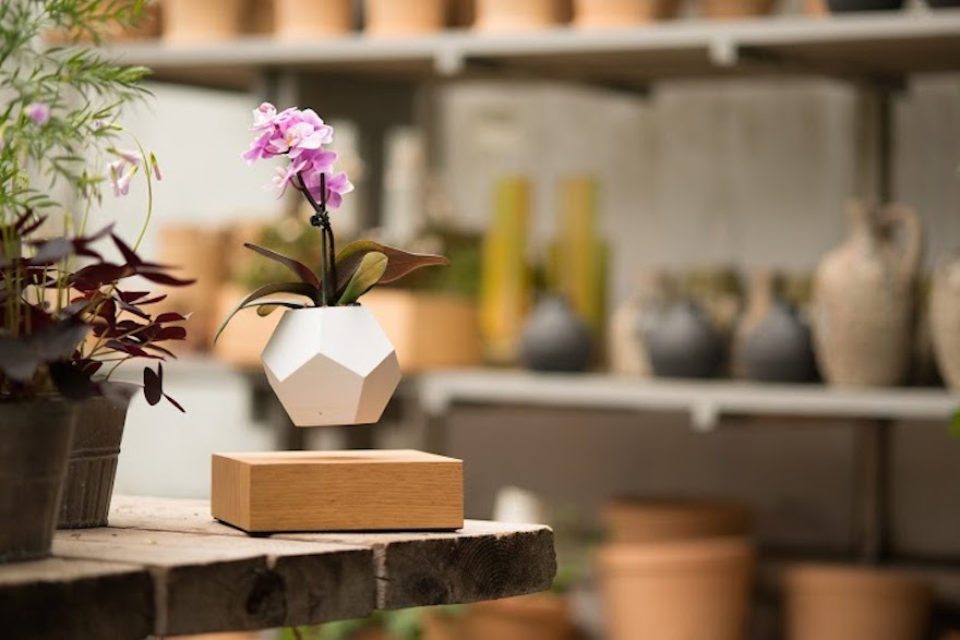 Lyfe: levitating planter |