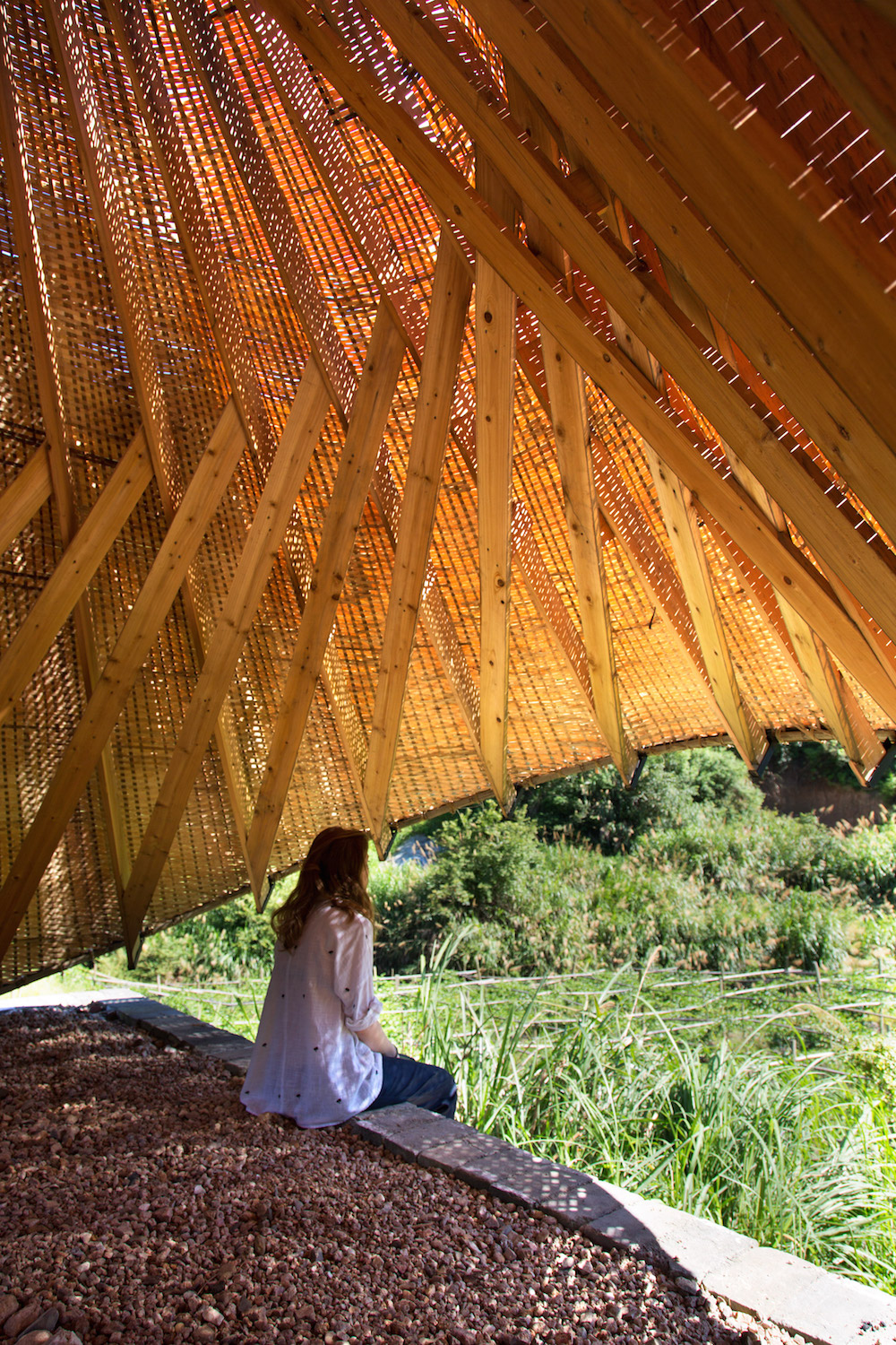 Students explore bamboo as sustainable alternative to conventional ...
