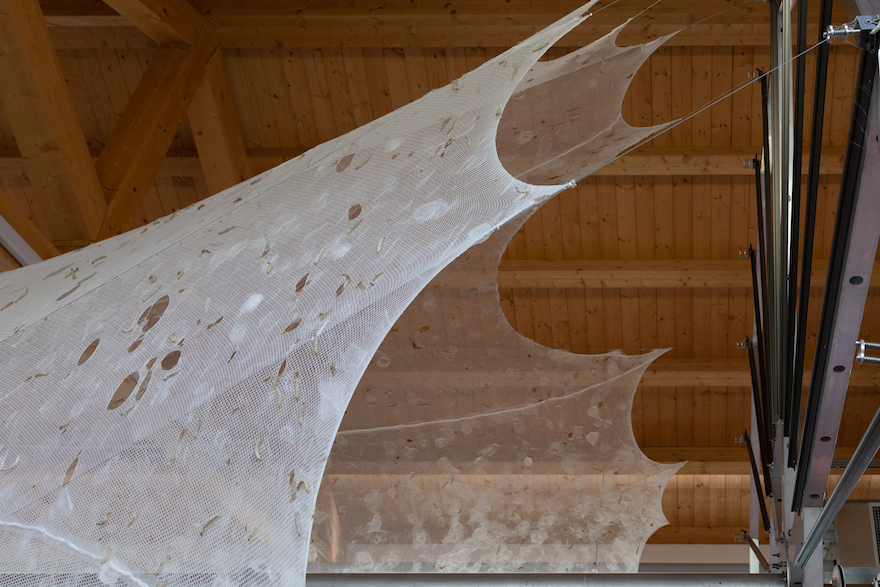 Neri Oxman’s Silk Pavilion II Turns Metamorphosis into Art | Design Indaba