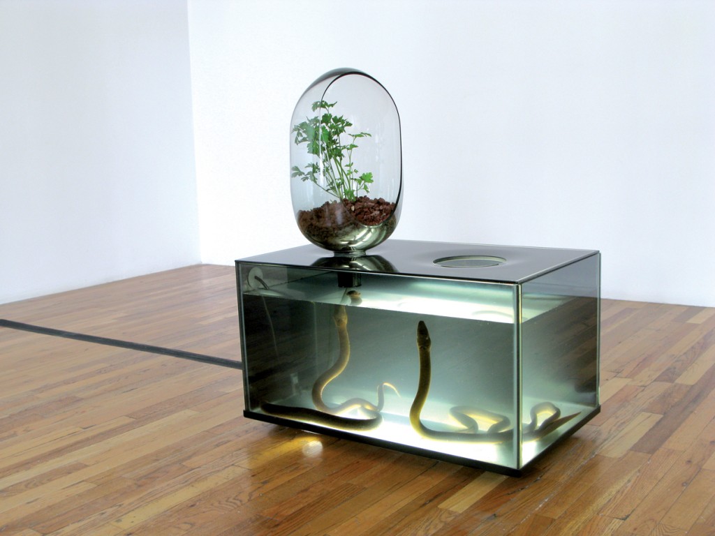 countertop farming design indaba