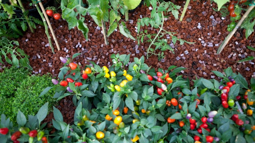 Lego Greenhouse at London2011. 