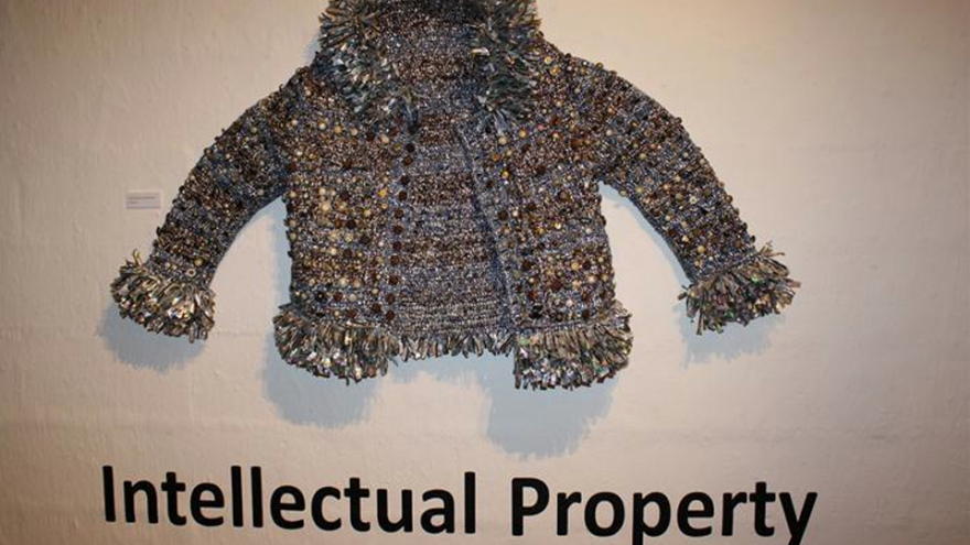 Intellectual Property. Photo: Tamika Sewnarain.