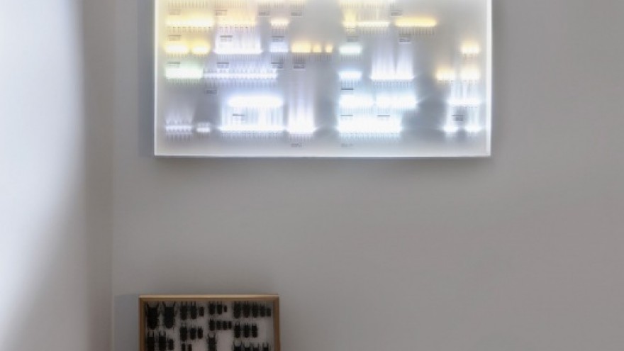 Collection of Light. Photo: Tim Meier. 