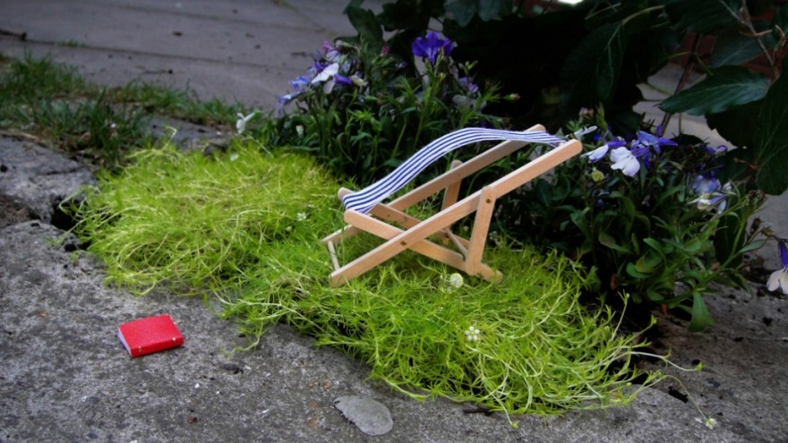Pothole Gardening. 