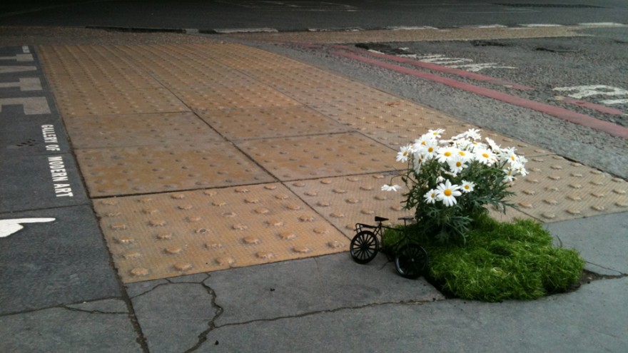 Pothole Gardening. 