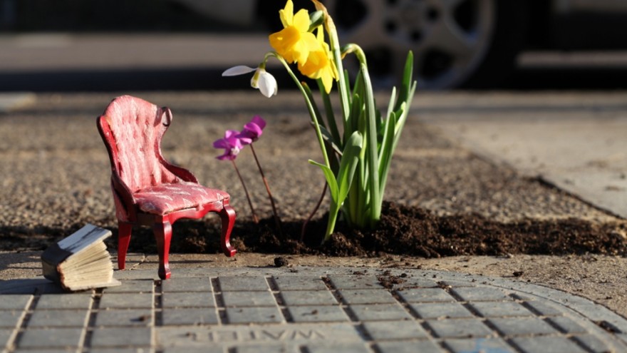 Pothole Gardening. 