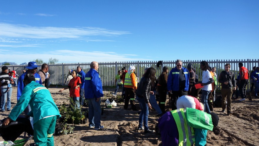 Mandela Day 2012: planting trees at Blikkiesdorp